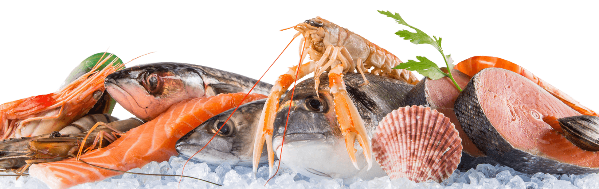 Les produits de la mar&eacute;e pour tous